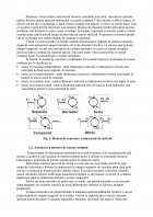 Atestat Remedierea defectelor circuitelor pentru reglarea vitezei motoarelor de curent continuu - imaginea6
