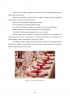 Atestat Organizarea și desfășurarea evenimentului “Aniversare” pentru 50 de invitați într-un restaurant de 3 stele - imaginea26