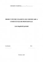 Atestat Arta impletirii parului - imaginea1