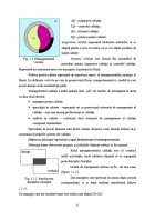 Atestat Managementul calitatii - imaginea6
