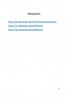 Atestat Bayern - imaginea15