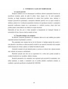 Atestat Recoltarea, prelucrarea și păstrarea semințelor forestiere - imaginea20