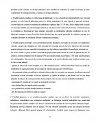 Atestat Surse straine de finantare - imaginea10