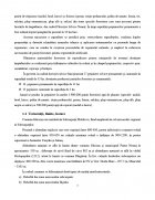 Atestat Intocmirea unui act de punere in valoare la produsele principale - imaginea8