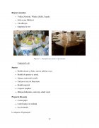 Atestat Organizarea unei mese festive tip banchet - imaginea12