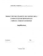 Atestat Amplificatoare - imaginea1