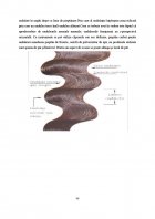 Atestat Spalat, tuns, coafura de zi - imaginea33