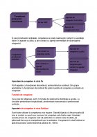 Atestat Tehnologia de obtinere a conservelor de legume congelate - imaginea19