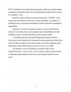 Atestat Analiza SWOT - imaginea2