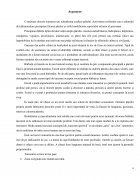 Atestat Tunsoarea sport - imaginea5