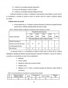 Atestat Intocmirea unui act de punere in valoare la produsele principale - imaginea34