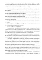 Atestat Comerțul electronic - imaginea12