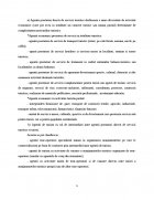 Atestat Agentia de turism Sirius - imaginea8