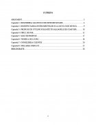 Atestat Coafura tip Hollywood cu elemente decorative - imaginea2