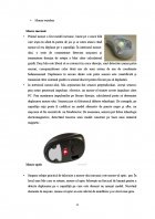 Atestat Dispozitive periferice de intrare - imaginea11