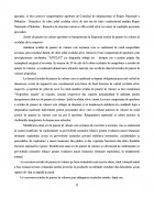 Atestat Intocmirea unui act de punere in valoare la produsele principale - imaginea32