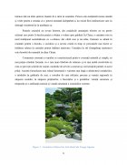 Atestat Servirea ceaiului - imaginea8