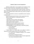 Atestat Tipuri de organigrame - imaginea5