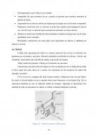 Atestat Instalații de ridicat și transportat - imaginea49