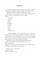 Atestat Asamblări cu pene și caneluri - imaginea4