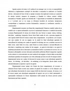 Atestat Infiintarea unei agentii de turism SC Sicora Travel SRL - imaginea8