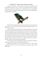 Atestat Plăci de extensie și plăci video - imaginea20