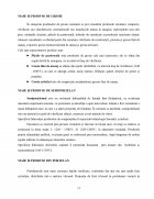 Atestat Materiale Ceramice. Porțelanul - imaginea19