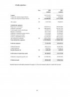 Atestat Conturi de rezultate în analiza economico financiară la SN NUCLEAR ELECTRICA - imaginea24