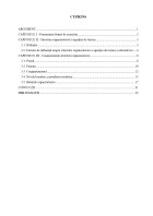 Atestat Structura organizatorică a agenției de turism - imaginea3