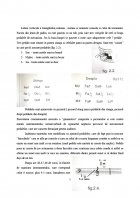Atestat Scurt istoric al harpei - imaginea5