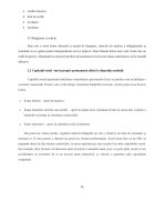 Atestat Căi de finanțare a unei afaceri - imaginea16