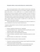 Atestat Principalele atribuții ca asistent medical debutant într-o instituție medicală - imaginea2