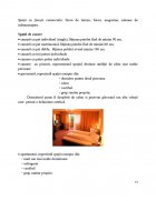 Atestat Clasificarea structurilor de primire cu functiuni de cazare - imaginea14