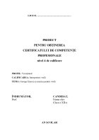 Atestat George Enescu și muzica pentru violă - imaginea1