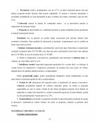 Atestat Materiale Ceramice. Porțelanul - imaginea21