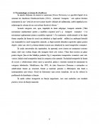 Atestat Scurta istorie a trompetei - imaginea5