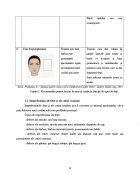 Atestat Tipuri de coafuri - imaginea14