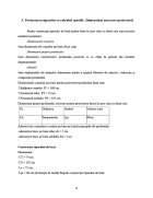 Atestat Proiectarea produsului fusta scurta in sase clini marimea 46 - imaginea10