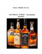 Atestat Alcoolul Etilic - fermentatia alcoolica - imaginea1