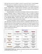 Atestat Strategii, tehnici și tactici de negociere în afacerile internaționale - imaginea9