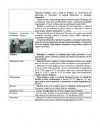 Atestat Salamul de Vara uscat - imaginea7