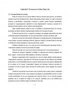 Atestat Studiul pietei pentru Firma de Exercitiu Golden Mug Cafe SRL - imaginea4
