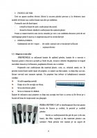 Atestat Coafuri de zi - imaginea6