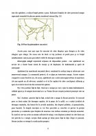 Atestat Pregatirea tehnico tactica a jocului de handbal - imaginea15