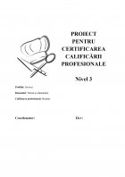 Atestat Tehnologia de obținere a preparatului Chifteluțe marinate - imaginea1