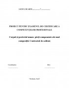 Atestat Corpul si portretul uman parti componente ale unei compozitii Contrastul de calitate - imaginea1