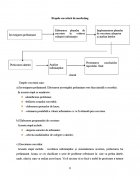Atestat Cercetarea de marketing  Tymbark - imaginea9