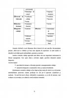 Atestat Managementul calitatii - imaginea29
