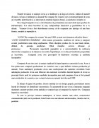 Atestat Politica de produs a firmei Avon Cosmetics Romania - imaginea8