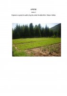 Atestat Evaluarea exemplarelor de molid Picea Abies și fag Fagus Sylvatica din cadrul Ocolului Silvic Tihuța Colibița - imaginea28